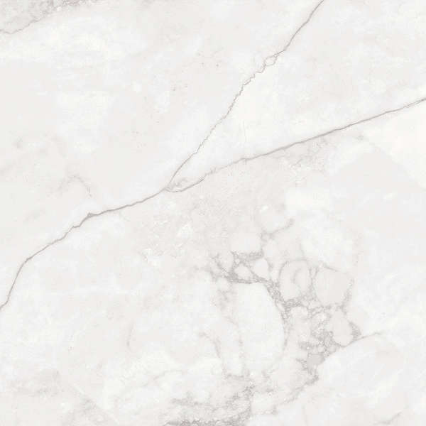 Светло-Серый 60x60 (600x600)