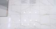 Regal Carrara (<!--#size-->)