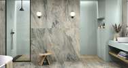 Gaya Quartzite (<!--#size-->)