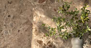 Breccia Paradiso (<!--#size-->)
