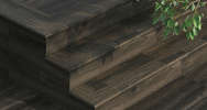 Forest Wengue (<!--#size-->)