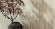 Materia Classica (<!--#size-->)