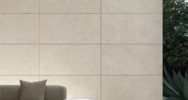 Fossil (<!--#size-->)