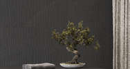 Badrock Shadow (<!--#size-->)