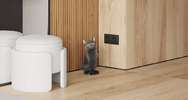 Wood Royal Almond (<!--#size-->)