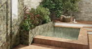 Oasis (<!--#size-->)