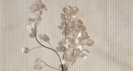 Travertino Wall (<!--#size-->)