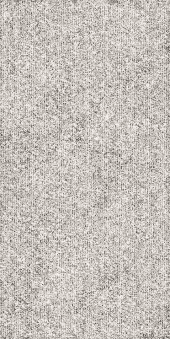 Rugged 60x120 (600x1200)