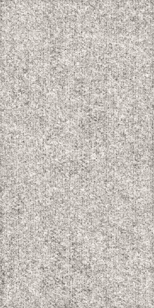 Rugged 60x120 (600x1200)