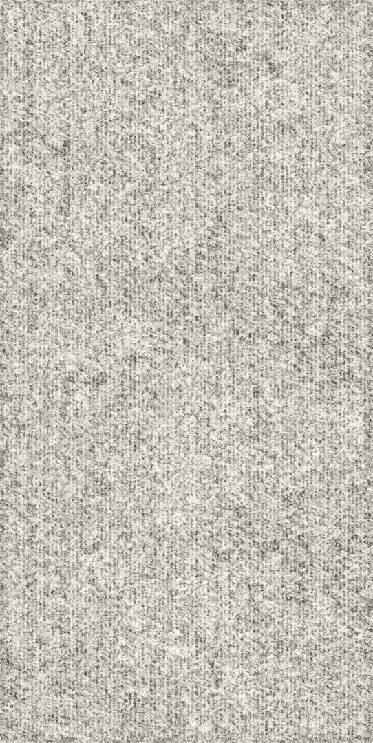 Rugged 60x120 (600x1200)