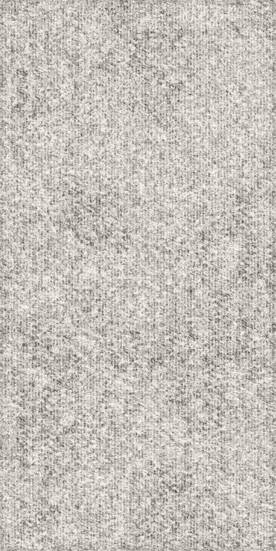 Rugged 60x120 (600x1200)