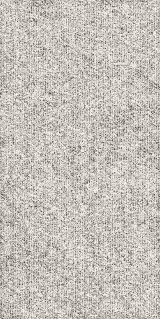 Rugged 60x120 (600x1200)