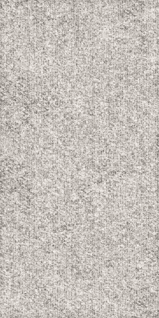 Rugged 60x120 (600x1200)