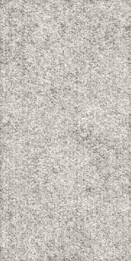 Rugged 60x120 (600x1200)