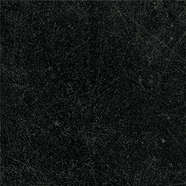 Dandy Black 18.6x18.6 (186x186)