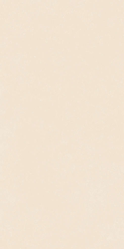 Ivory 60x120 (600x1200)