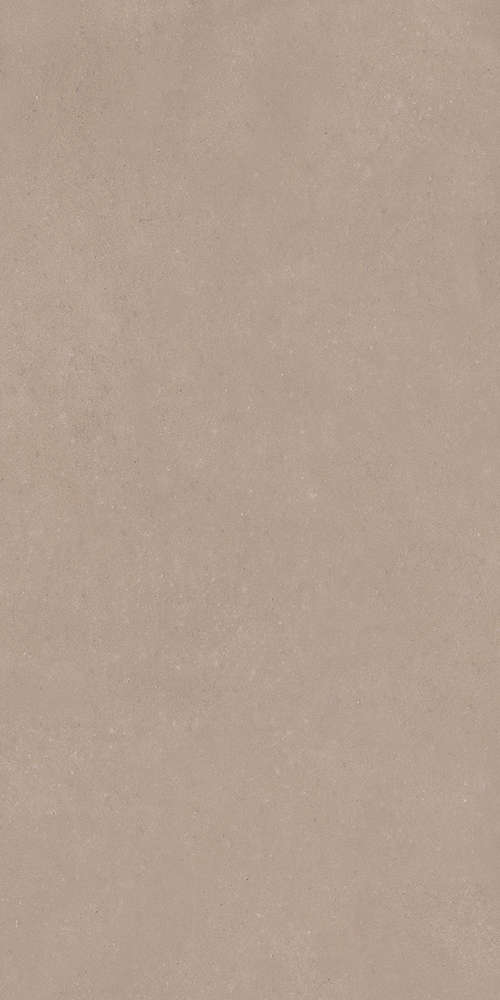 Taupe 60x120 (600x1200)