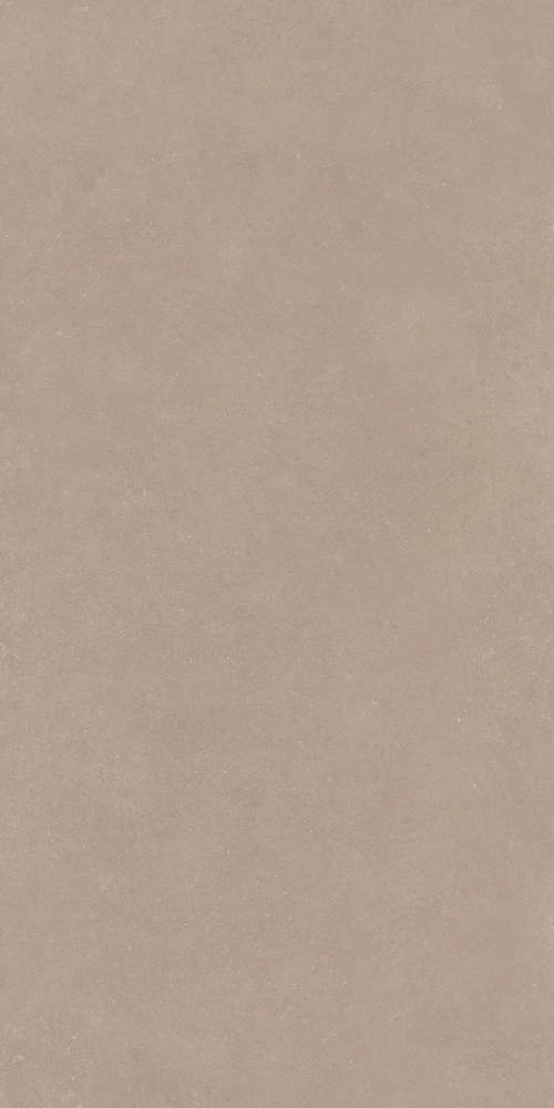 Taupe 60x120 (600x1200)