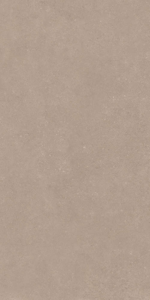 Taupe 60x120 (600x1200)