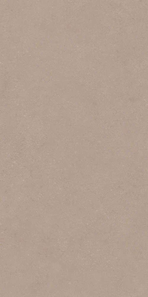 Taupe 60x120 (600x1200)