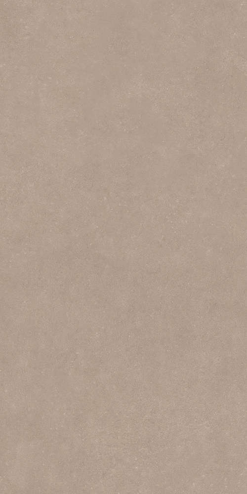 Taupe 60x120 (600x1200)