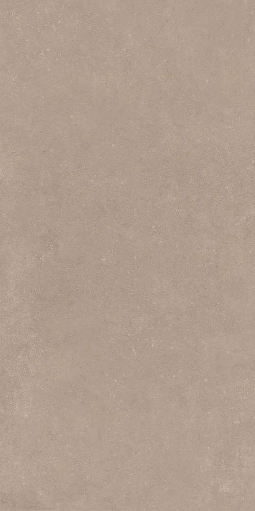 Taupe 60x120 (600x1200)