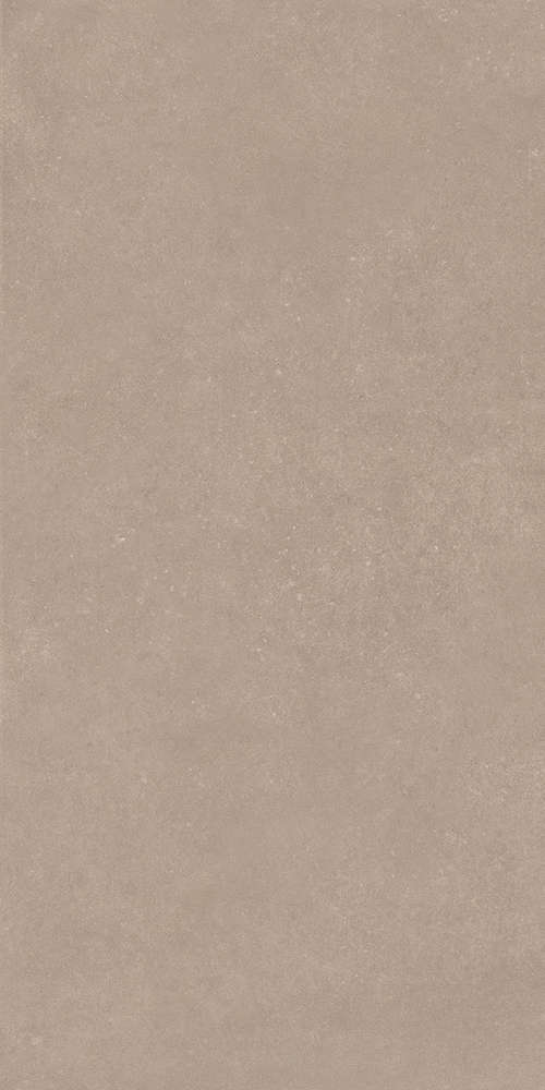 Taupe 60x120 (600x1200)