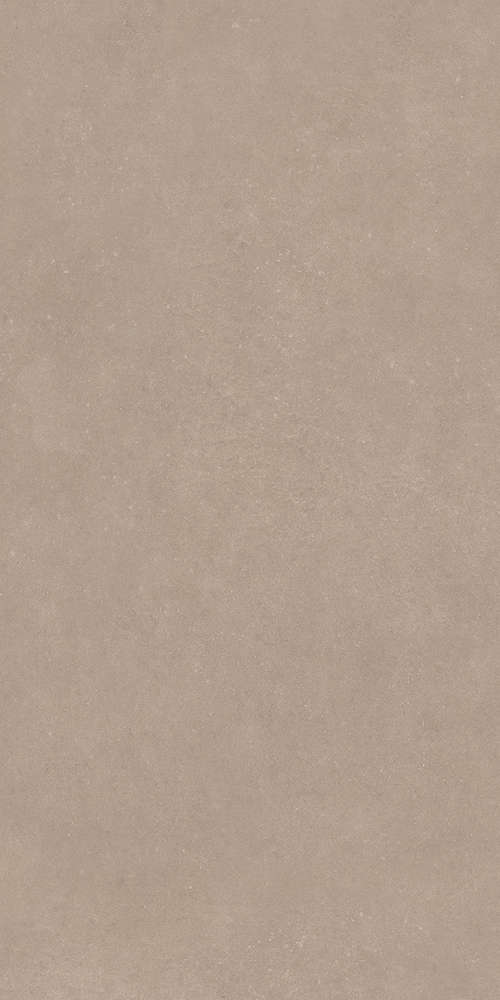 Taupe 60x120 (600x1200)