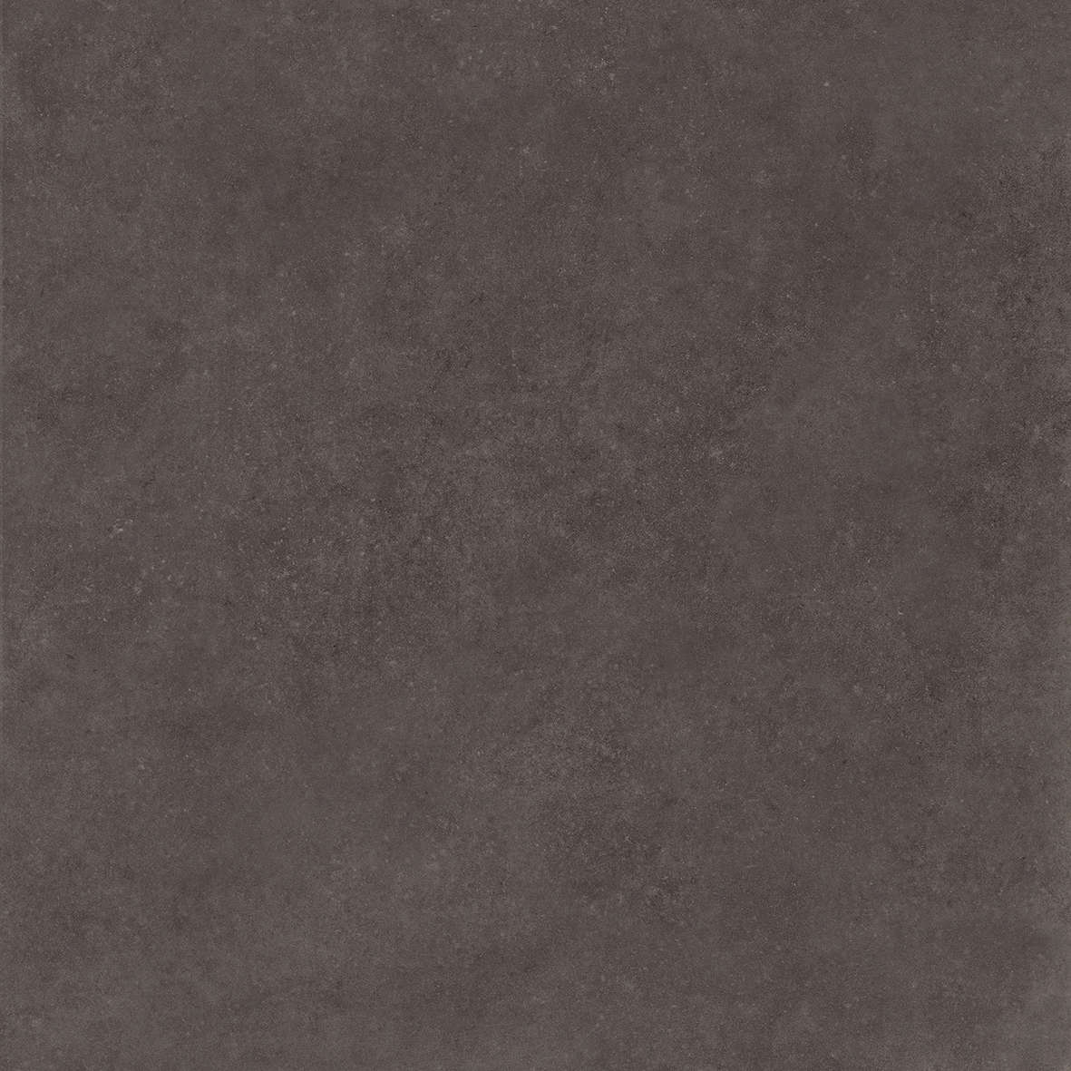 Ebony 120x120 (1200x1200)