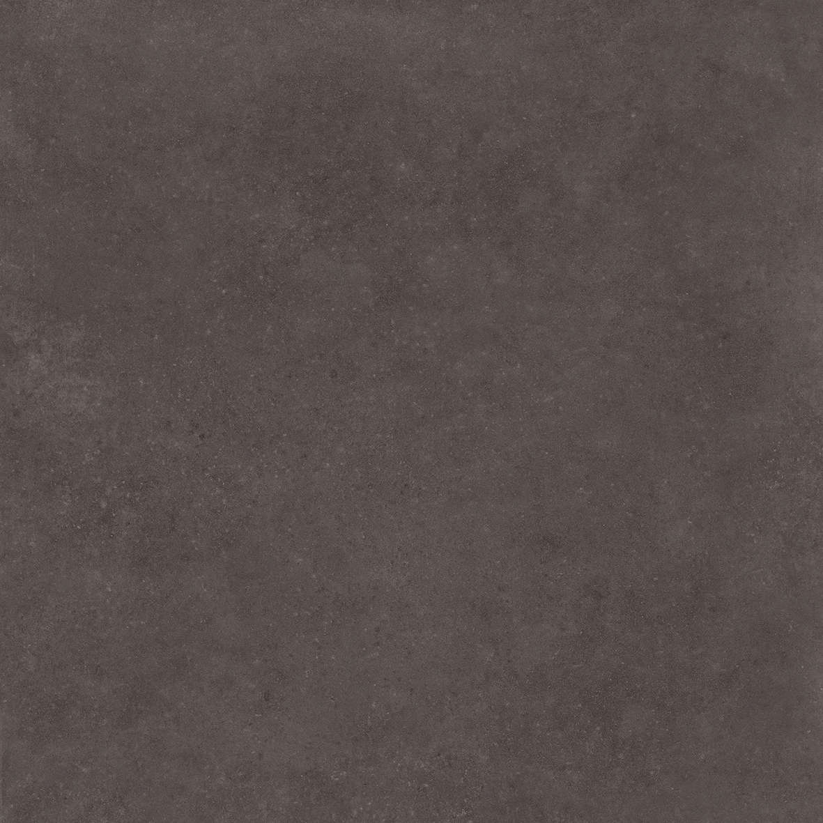 Ebony 120x120 (1200x1200)