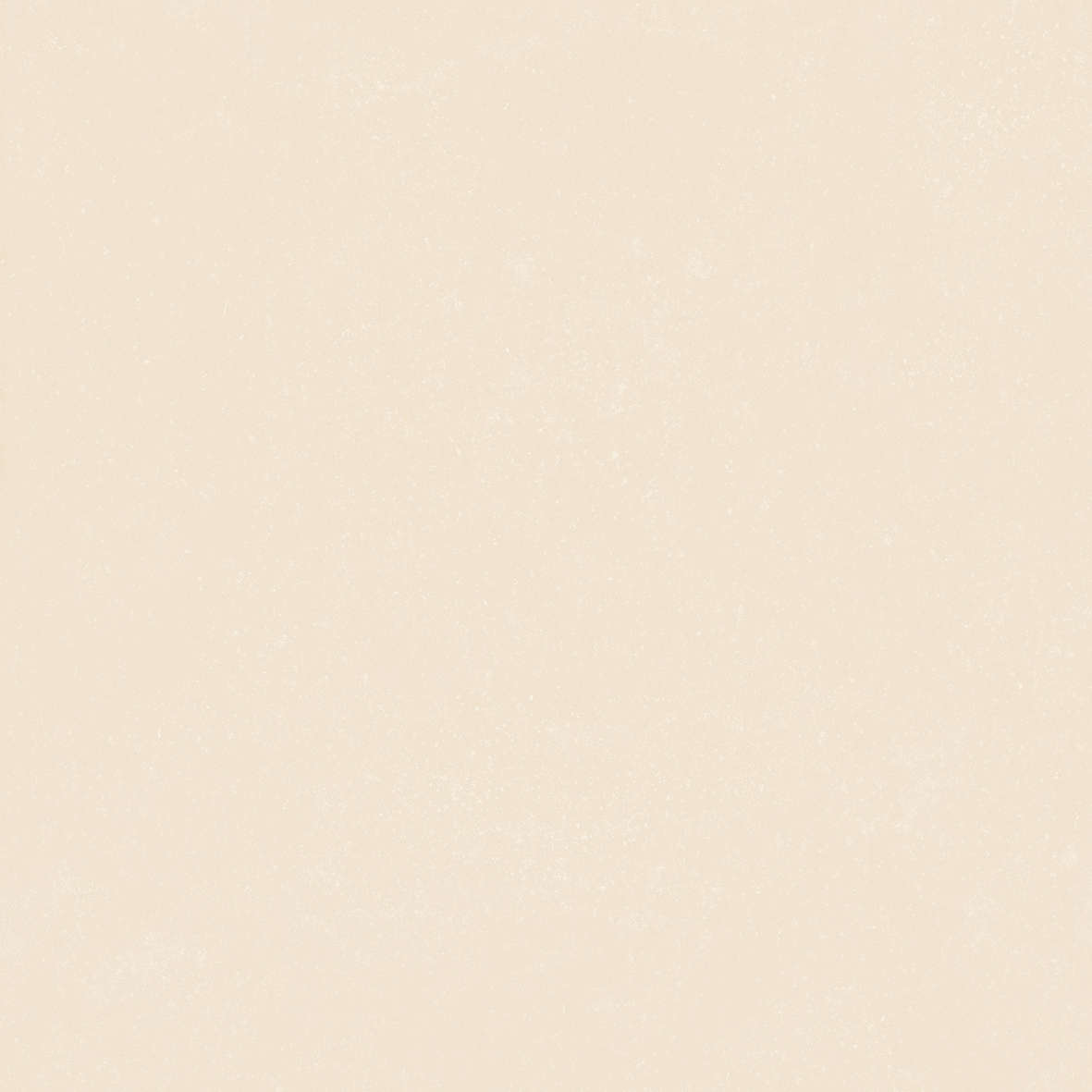 Ivory 120x120 (1200x1200)