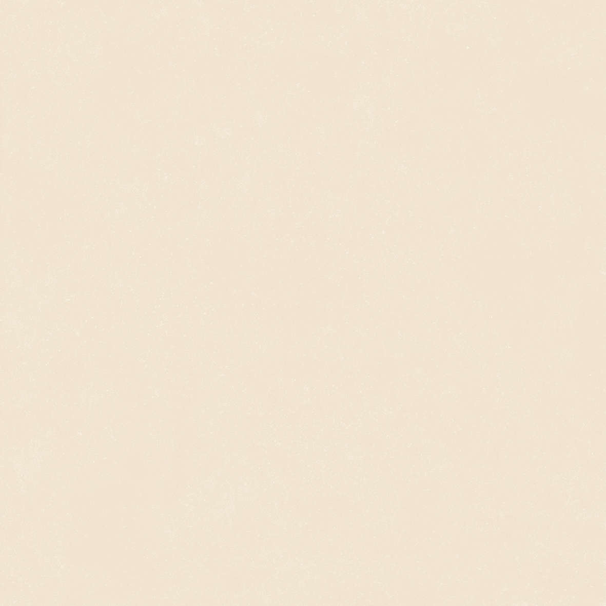 Ivory 120x120 (1200x1200)