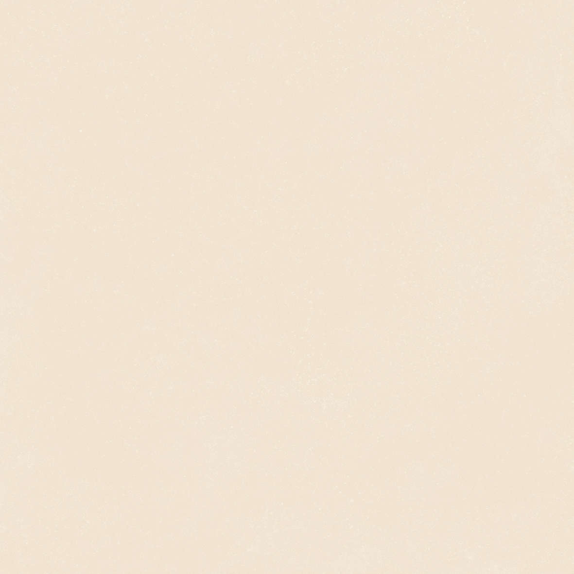 Ivory 120x120 (1200x1200)