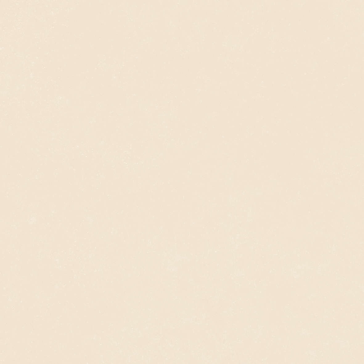 Ivory 120x120 (1200x1200)