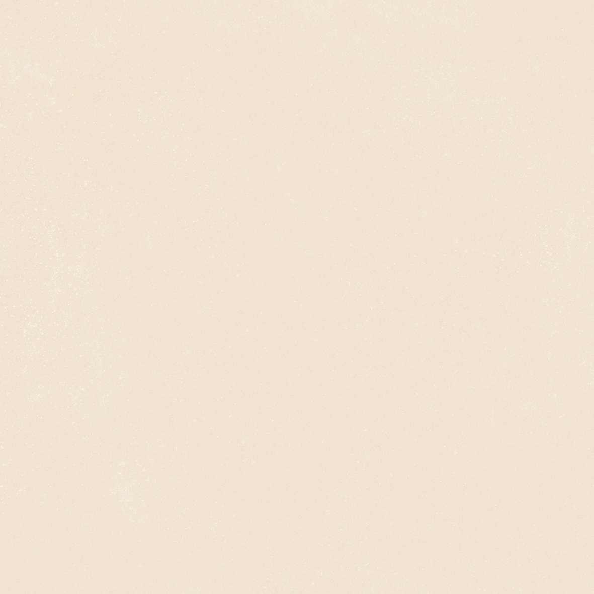 Ivory 120x120 (1200x1200)