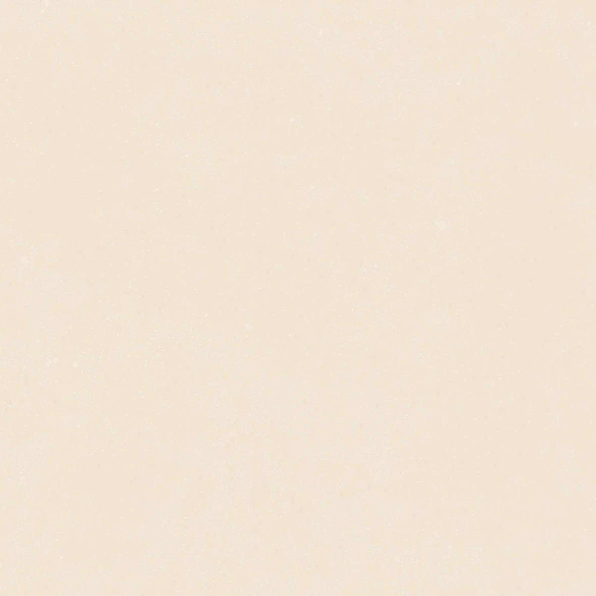 Ivory 120x120 (1200x1200)