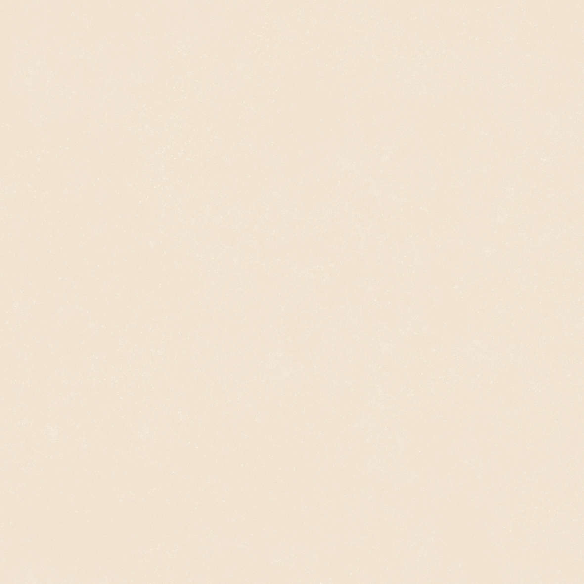 Ivory 120x120 (1200x1200)