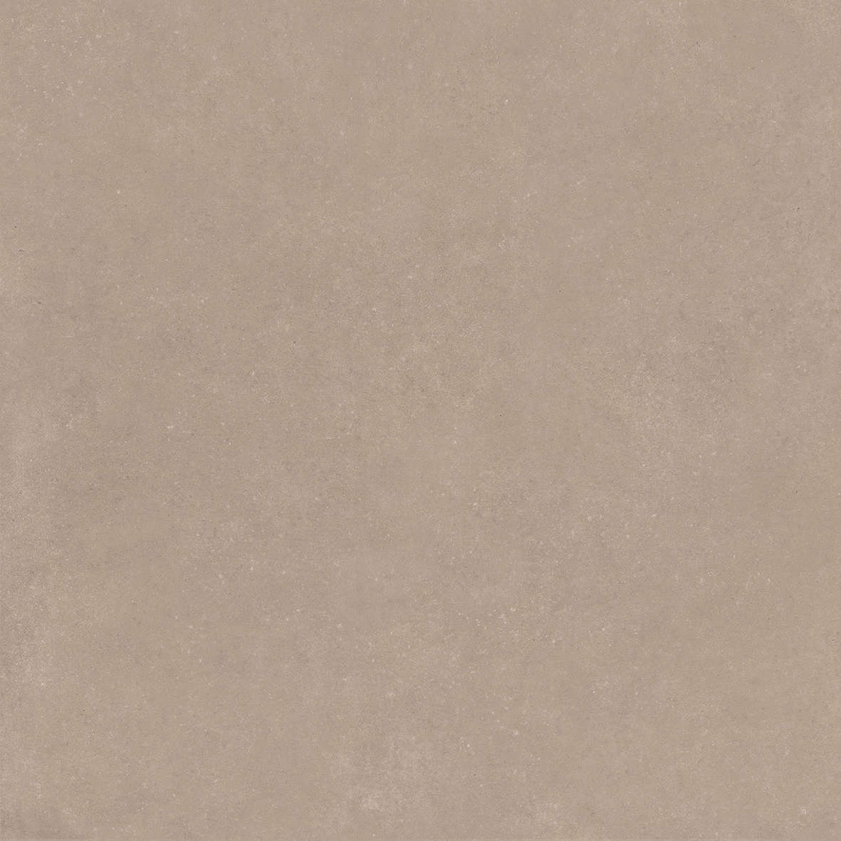 Taupe 120x120 (1200x1200)