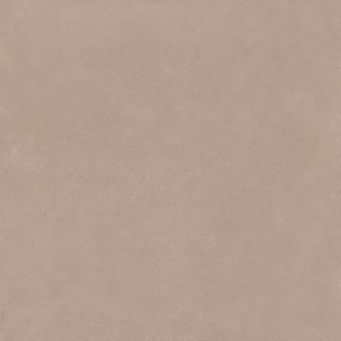 Taupe 120x120 (1200x1200)