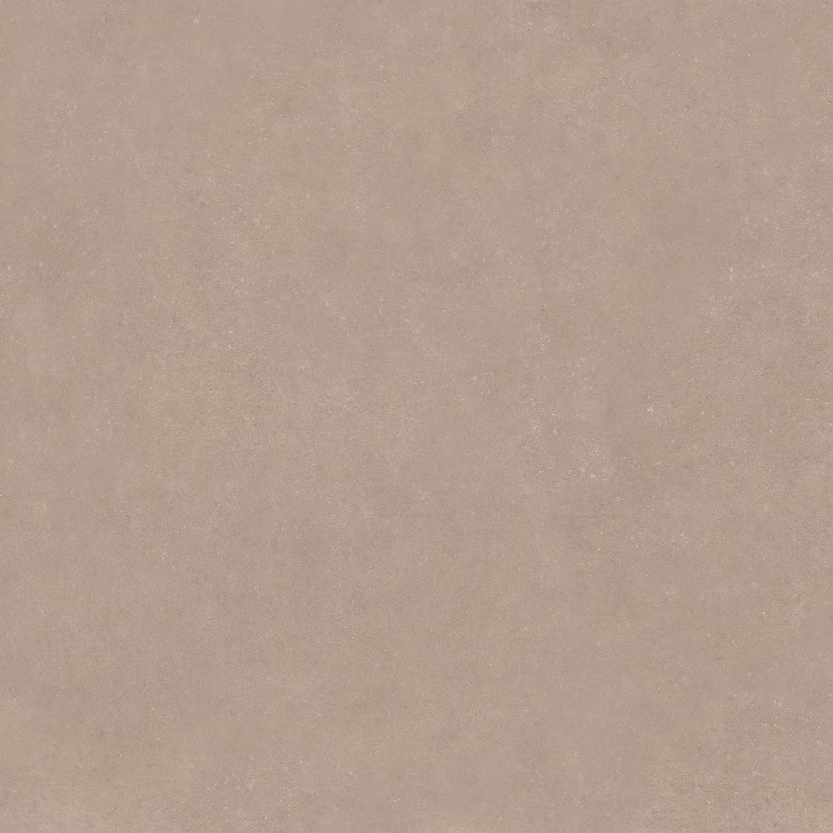 Taupe 120x120 (1200x1200)