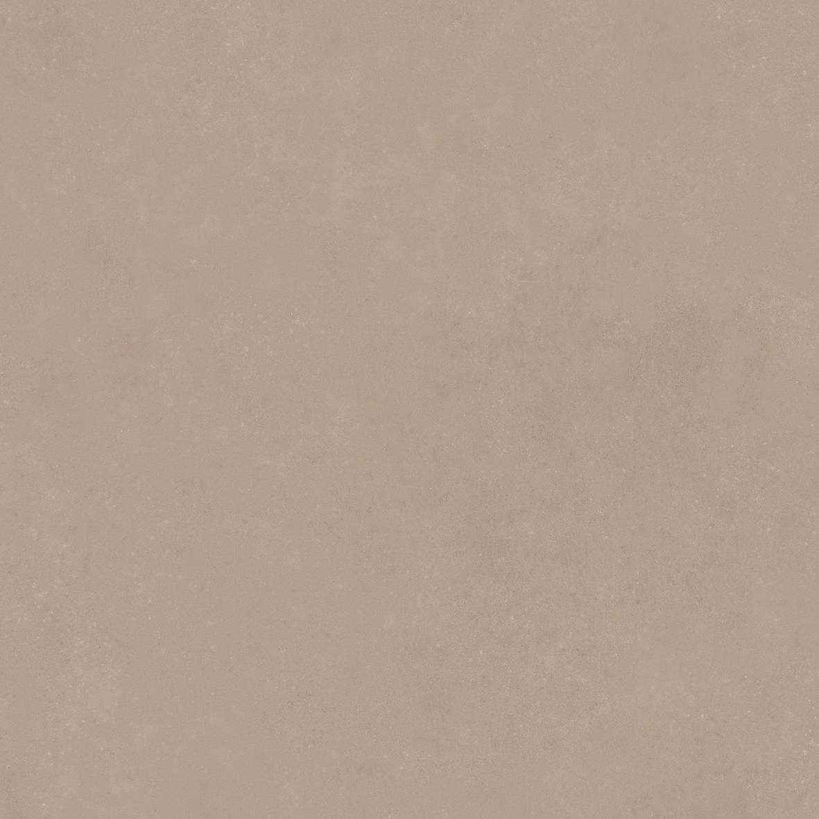 Taupe 120x120 (1200x1200)
