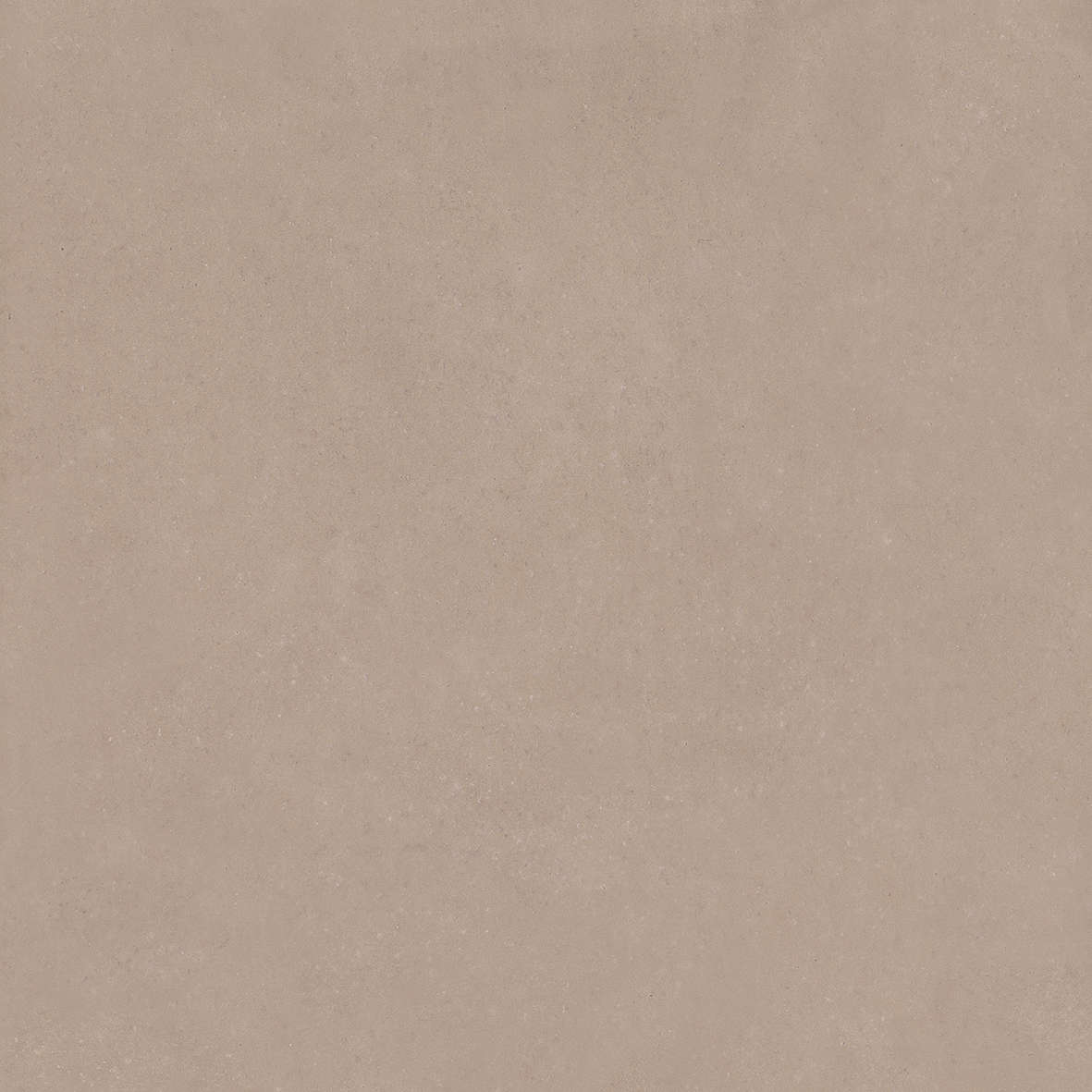 Taupe 120x120 (1200x1200)