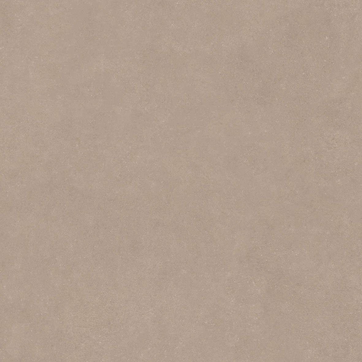 Taupe 120x120 (1200x1200)
