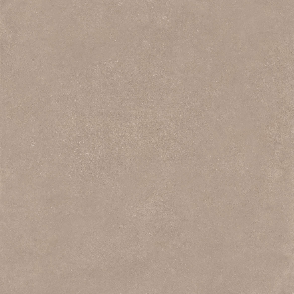 Taupe 120x120 (1200x1200)