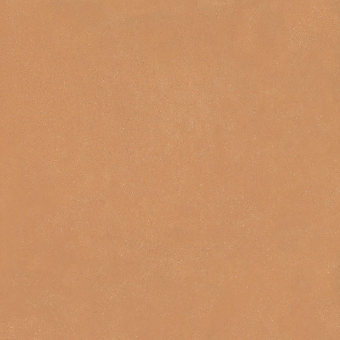 Terra 120x120 (1200x1200)