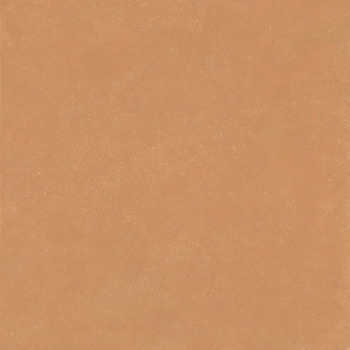 Terra 120x120 (1200x1200)