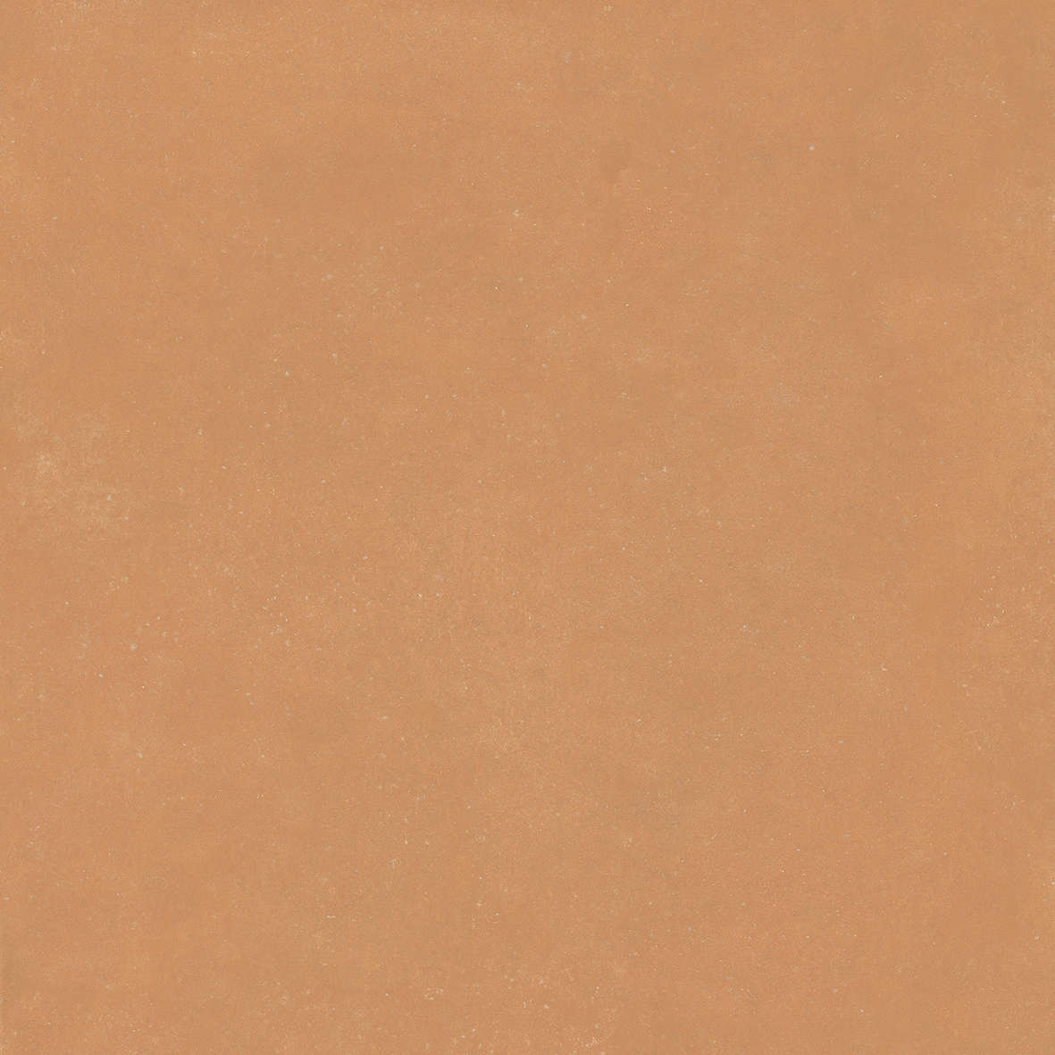 Terra 120x120 (1200x1200)
