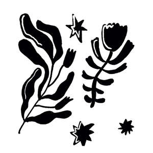 Caravan Lux 10x10 (100x100)