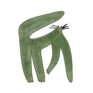 Caravan Lux 10x10 (100x100)