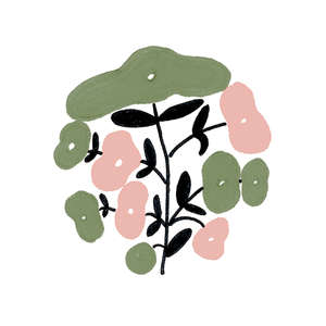 Caravan Lux 10x10 (100x100)